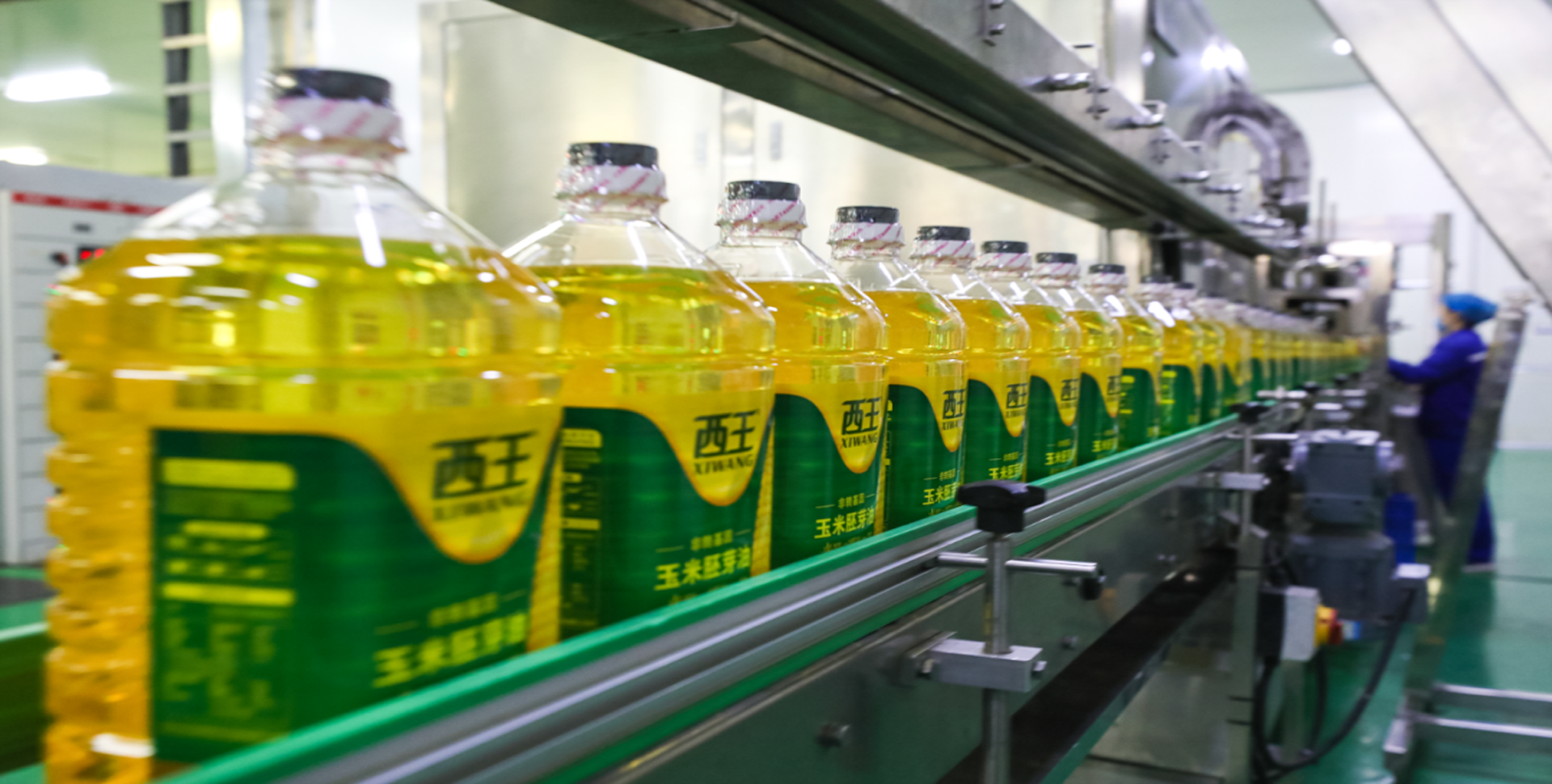 1766558886498173.png 西王-1副本.png