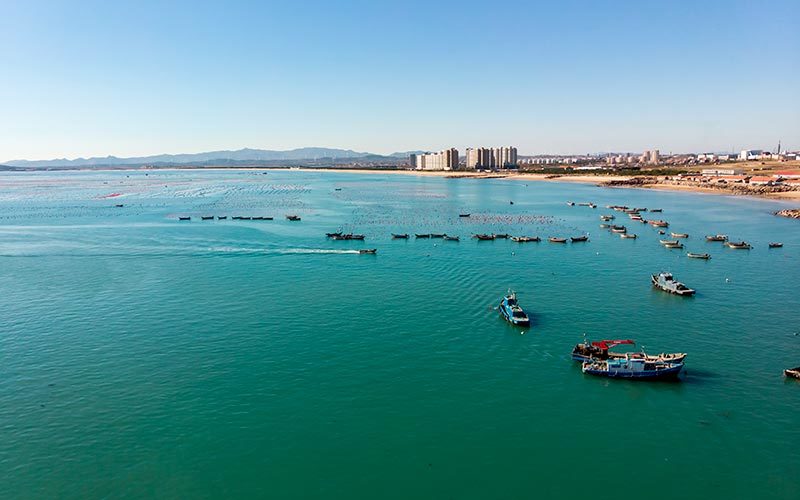 1768269694579161.jpg 01.jpg