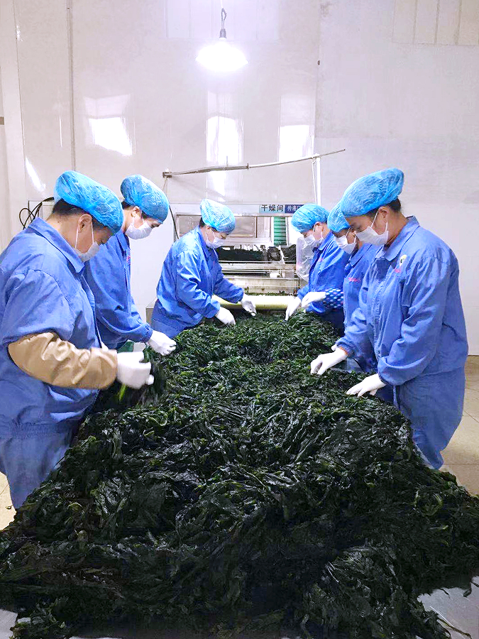 1768269739667014.png 001.png