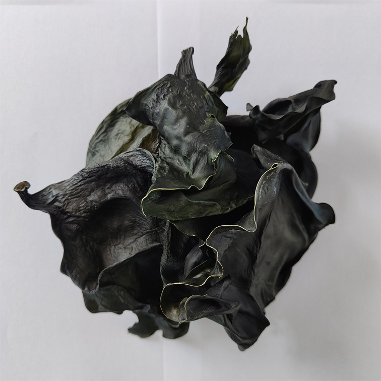 1768270542437386.jpg 图片9.jpg