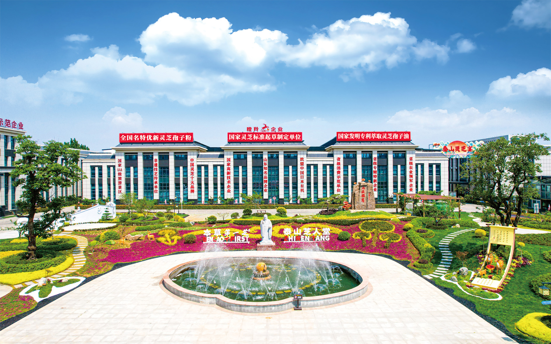 企业概貌 (1).jpg