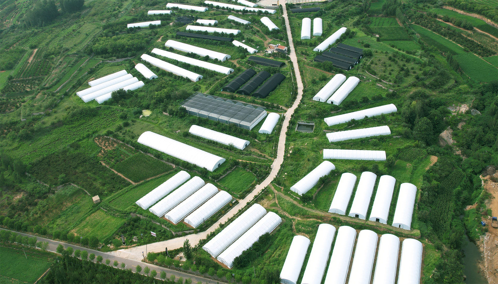 典型经验 一产农业种植.jpg