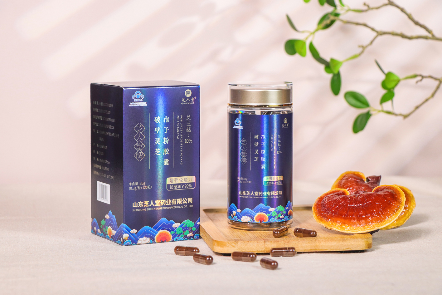 破壁灵芝孢子粉胶囊（蓝盒） (2).jpg