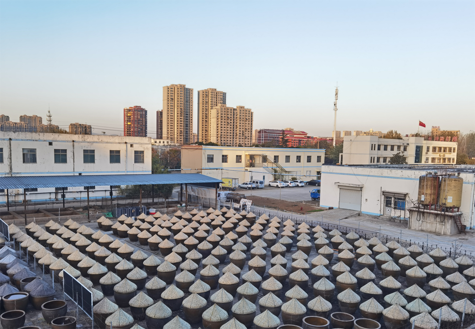 1769650156563862.jpg 图片25.jpg