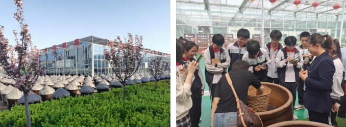 1769739879740951.png 图片5.png