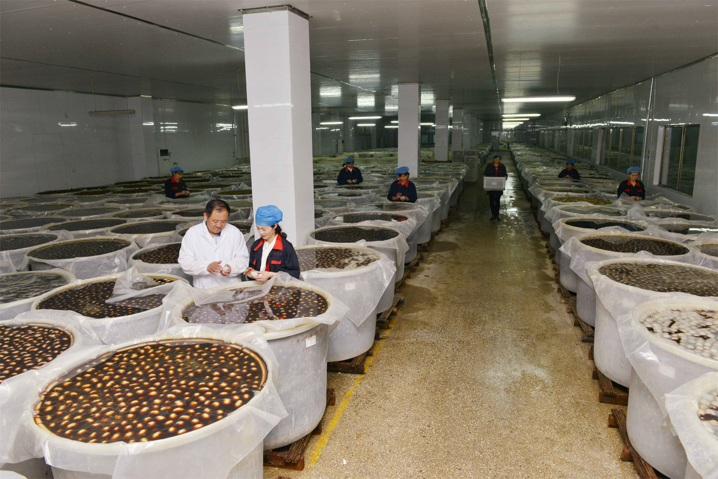 1769823831458997.jpg 产品配制检测.jpg