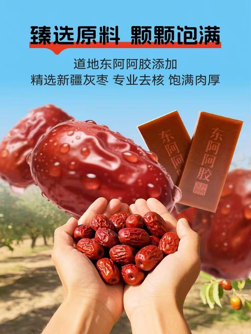 阿胶枣1.jpg